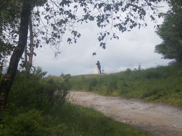 Picture of Beacon Fell Country Park