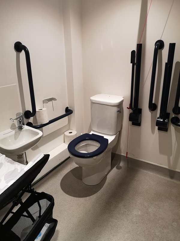 Disabled toilet