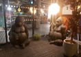 Image of statues of gorillas sitting outside a building